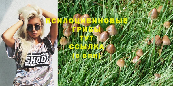 меф Абинск