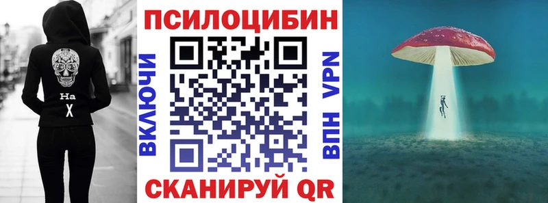 Галлюциногенные грибы Psilocybine cubensis  Агидель 